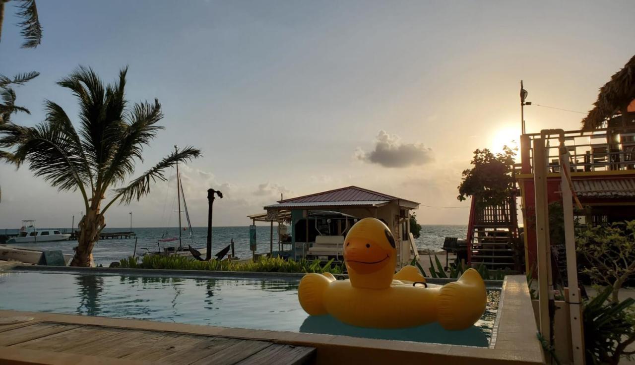 Beach Club Condos At Popeyes Caye Caulker Exterior photo
